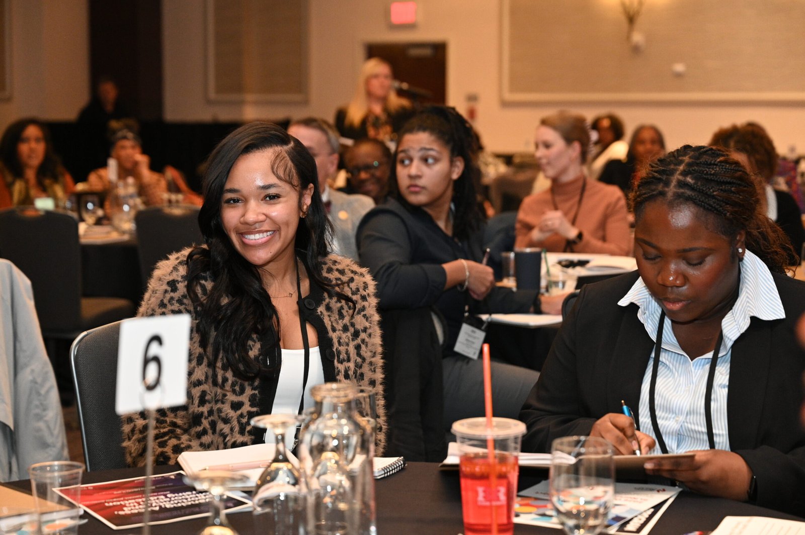 Summit highlight photo 6